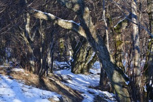 20100222_0071
