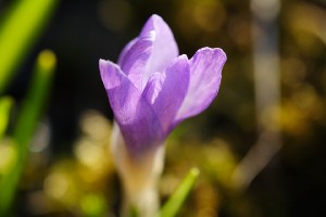 20100327_0101