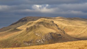 20110327_045-crop21