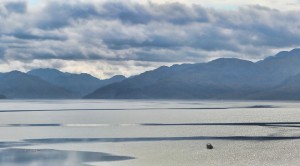 2011_07_30_454_456-crop1