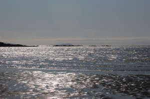 2011_07_23_2781