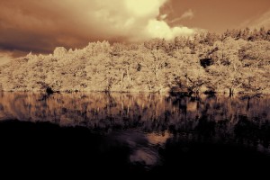 2011_10_27_016-bw-orange-tone1