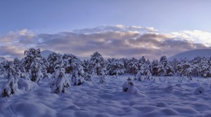 lairig-21