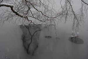 20090204_80141