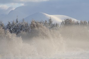 20091225_064