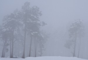 20100109_019_crop1