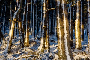 2012_02_19-691
