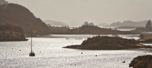 20100319_053-hdr-50pc1