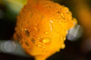 2012_03_0211