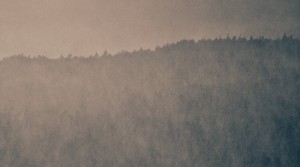 2012_03_04-34-quadtone-cerulean-1-crop1
