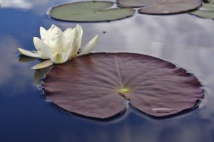 20090614_0221