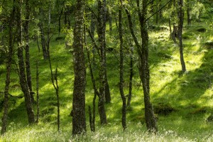 2012_07_27-801