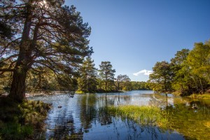 2012_09_08-43-21