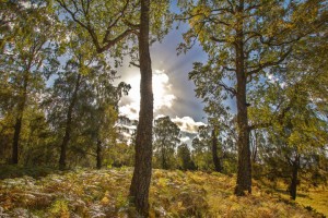 2012_09_30-22-57pc-hdr1