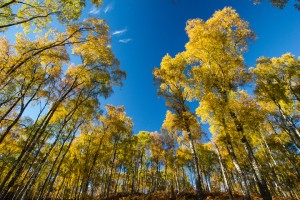 2012_10_23-511