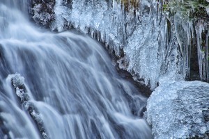 IMG_100611