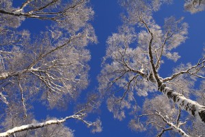 20091222_0921