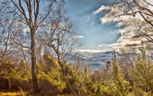 2013_02_22-5-100pc-hdr1