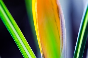 2013_02_26-11-21
