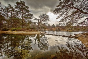2013_03_15-7-76pc-hdr1