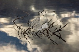 2013_03_28-21